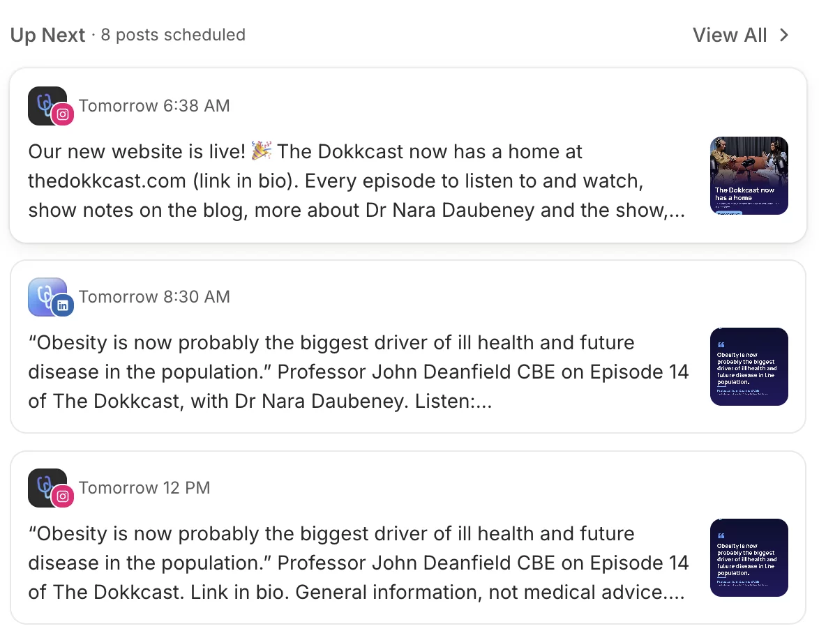 Scheduled Instagram and LinkedIn posts for The Dokkcast